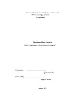 Referāts 'Veļas mazgāšana viesnīcās', 1.