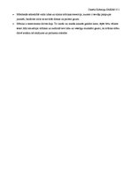 Konspekts 'Mūzikas ietekme uz cilvēku', 5.