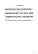 Referāts 'ES dažādos aspektos', 17.