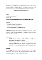 Paraugs 'Mūzikas metodika - didaktiskās spēles', 2.