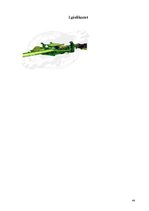 Referāts 'Kokzāģēšanas projekts', 44.