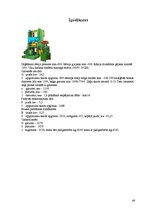 Referāts 'Kokzāģēšanas projekts', 46.