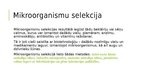 Prezentācija 'Selekcija', 5.