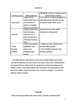 Prakses atskaite 'Mārketinga (tirgzinības) prakses atskaite', 11.