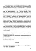 Prakses atskaite 'Mārketinga (tirgzinības) prakses atskaite', 12.