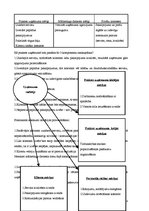Prakses atskaite 'Mārketinga (tirgzinības) prakses atskaite', 14.