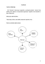 Prakses atskaite 'Mārketinga (tirgzinības) prakses atskaite', 15.