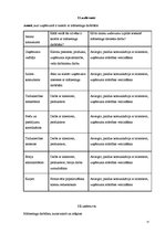 Prakses atskaite 'Mārketinga (tirgzinības) prakses atskaite', 17.