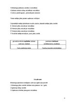 Prakses atskaite 'Mārketinga (tirgzinības) prakses atskaite', 19.