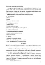 Prakses atskaite 'Mārketinga (tirgzinības) prakses atskaite', 23.