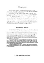 Biznesa plāns 'SIA "Trusty Convey"', 11.