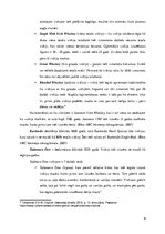 Referāts 'Viskijs', 9.