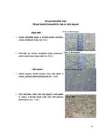 Referāts 'Riteņa bremzēšanas ceļš', 13.