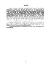 Referāts 'Serbu Projekts "Dienvidslāvija"', 4.