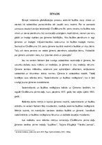 Referāts 'Saderināšanās un laulības noslēgšana', 3.