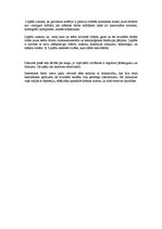 Konspekts 'Teātra antropoloģija. Robēra Lepāža laikmetīgais cirks', 4.