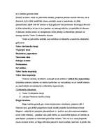 Konspekts 'Politika', 10.