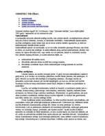 Konspekts 'Politika', 12.