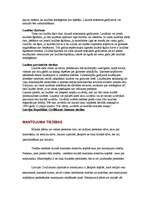 Konspekts 'Politika', 13.