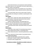 Konspekts 'Politika', 18.