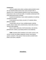 Konspekts 'Politika', 19.