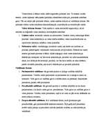 Konspekts 'Politika', 36.