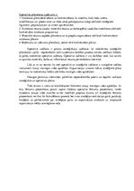 Konspekts 'Uzņēmuma operatīvā vadīšana', 2.