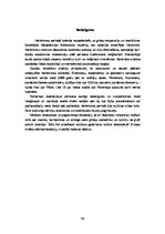 Referāts 'Hellēnisma kultūra', 13.