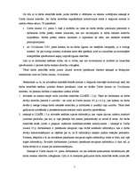 Referāts 'Vai darba attiecībās esošam juristam jāievēro ētiskie standarti', 5.