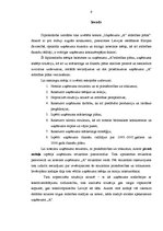 Diplomdarbs 'Uzņēmuma "A” attīstības plāns', 11.