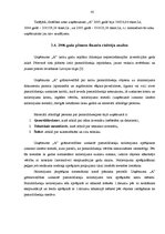 Diplomdarbs 'Uzņēmuma "A” attīstības plāns', 50.