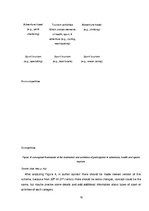 Diplomdarbs 'Evaluation of Sports Tourism Development in Tukums Region', 19.