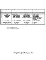 Biznesa plāns 'Biznesa plāns', 4.