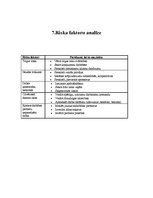 Biznesa plāns 'Biznesa plāns', 9.