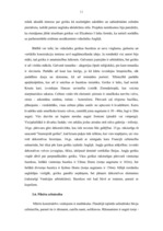 Referāts 'Mākslas vēsture', 11.