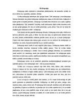 Referāts 'Sirdsapziņa un dzīves jēga', 2.