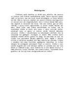 Referāts 'Airisa Mērdoka "Zvans"', 8.