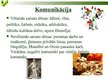 Prezentācija 'Lietišķā komunikācija Itālijā', 10.