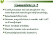 Prezentācija 'Lietišķā komunikācija Itālijā', 11.