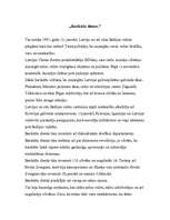 Eseja 'Barikāžu dienas', 1.
