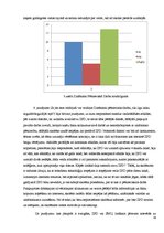 Referāts 'Skolēnu iespēja izstrādāt zinātniski pētniecisko darbu', 19.