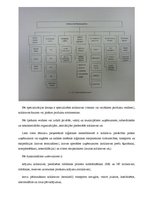 Referāts 'Noliktavu loģistika. Noliktavu klasifikācija', 4.