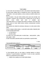 Referāts 'Valsts budžeta deficīts un valsts parāds', 4.