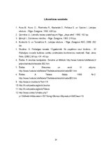 Referāts 'Tālava un Jersika', 24.