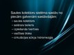 Prezentācija 'Elektroenerģijas ieguves tehnoloģijas', 21.