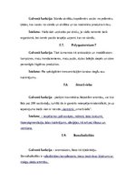 Konspekts 'Dušas želejas', 11.