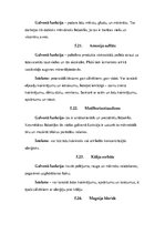 Konspekts 'Dušas želejas', 15.