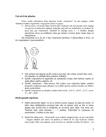 Referāts 'Relaksējošā elpošana', 3.