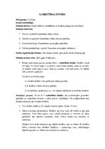 Konspekts 'Labestības stunda', 1.