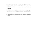 Konspekts 'Labestības stunda', 2.